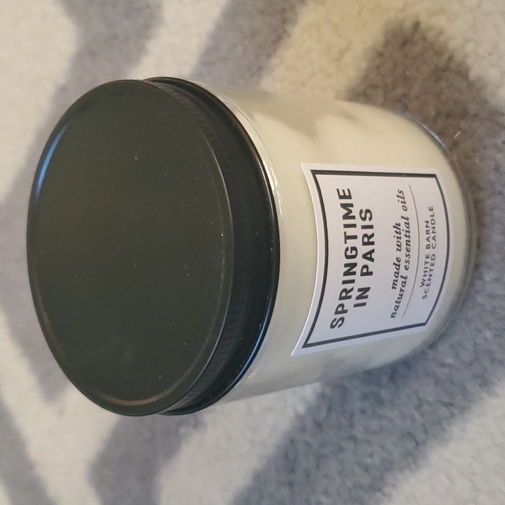 Spring Time in Paris